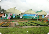 Arun Farms & Nursery